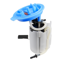 Load image into Gallery viewer, Photo - Primary