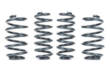 Load image into Gallery viewer, Racingline Sport Lowering Springs - Tiguan II 4Motion