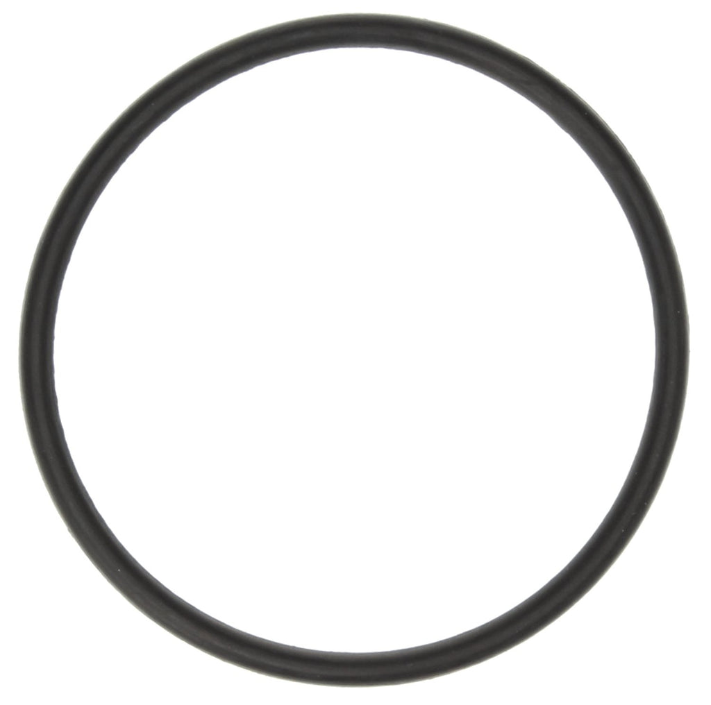 Victor Reinz VR6 Thermostat O-Ring - All VW VR6