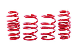 APR Roll-Control Lowering Springs - Audi 8Y RS3 8Y