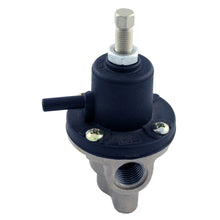 Load image into Gallery viewer, SPA Turbo 6AN 0-30 PSI Fuel pressure regulator