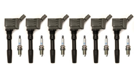 Audi EA839 Ignition Service Kit - Grey APR Coils - Audi B9 S4, S5, RS5, SQ5, C8 A6, S6, A7, S7 2.9T, 3.0T