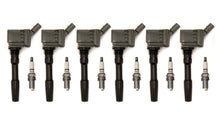 Load image into Gallery viewer, Audi EA839 Ignition Service Kit - Grey APR Coils - Audi B9 S4, S5, RS5, SQ5, C8 A6, S6, A7, S7 2.9T, 3.0T