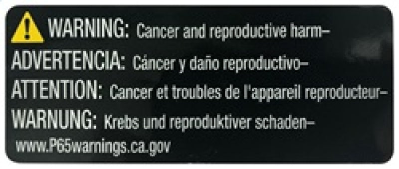 K&N Replacement Air Filter BMW R1300R/R1300Rs 2025
