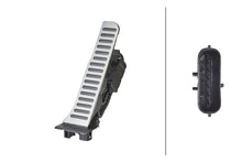 Load image into Gallery viewer, Photo - Close Up