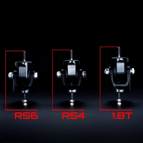 THE-RS4 B5 / S4 B5 / RS6 C5 / VAG 1.8T Motorsport Engine Mounts