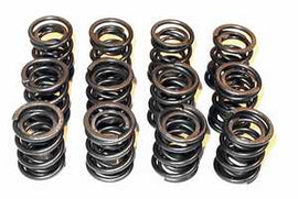 Techtonics Tuning - Performance High Lift, High-Rev Valve Springs - 12v VR6