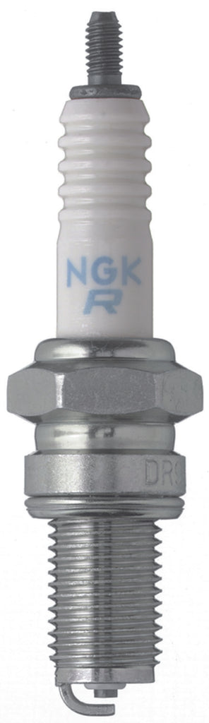NGK BLYB Spark Plug Box of 6 (DR8EA)