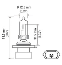 Load image into Gallery viewer, Hella Bulb 9005Xs/Hb3A 12V 65W P20D T4