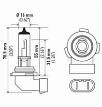 Load image into Gallery viewer, Hella Bulb H10/9145 12V 45W Py20D T4 Sb