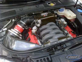 Gruppe M Carbon Fiber Intake - B7 RS4